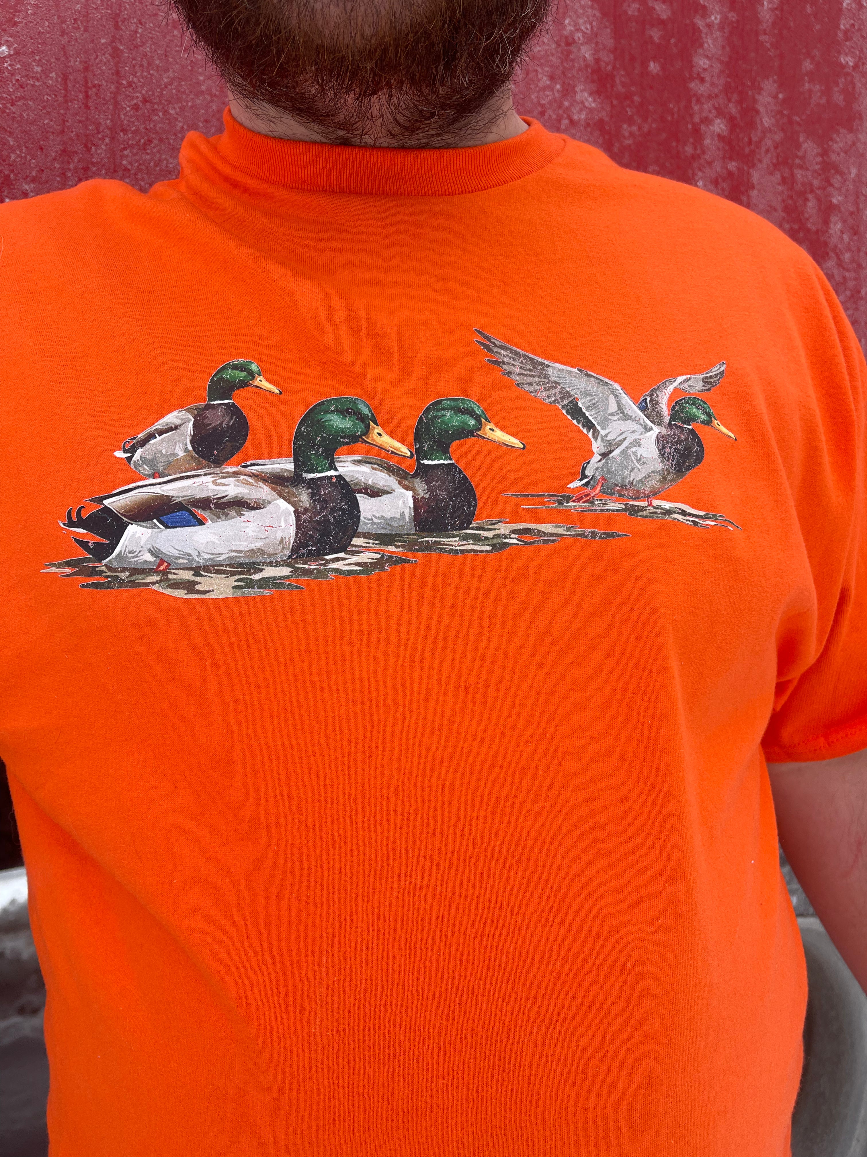 Vintage Ducks